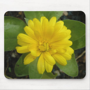 Hellgelbe Marigold Mousepad