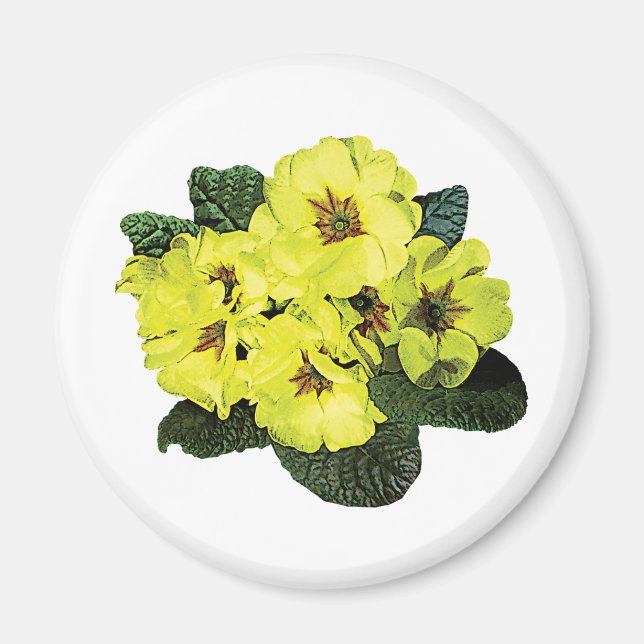 Hellgelbe Primrosen Magnet (Vorne)