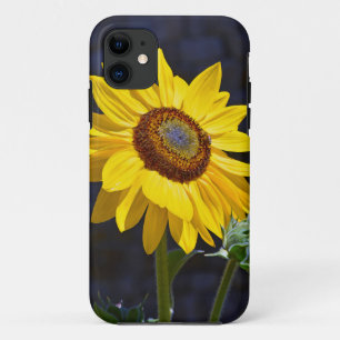 Hellgelbe Sonnenblume title_seo2