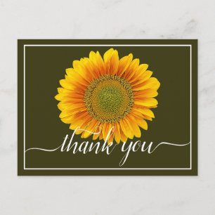 Hellgelbe Sonnenblume Moss Hintergrund Danke Postkarte
