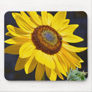 Hellgelbe Sonnenblume Mousepad