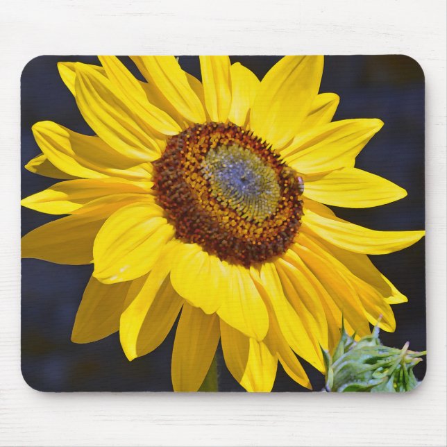 Hellgelbe Sonnenblume Mousepad (Vorne)