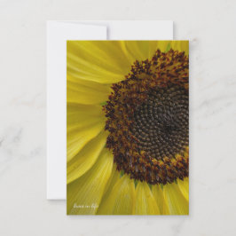 Hellgelbe Sonnenblume Nach oben nah Mitteilungskarte