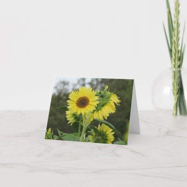 Hellgelbe Sonnenblumenkarte Dankeskarte (Vorderseite)