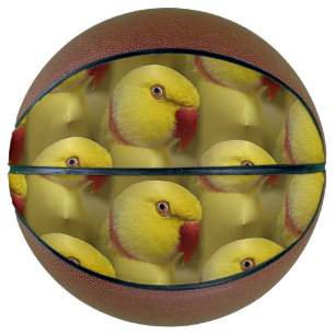 Hellgelbes Lutino Indianerringerparrot Basketball