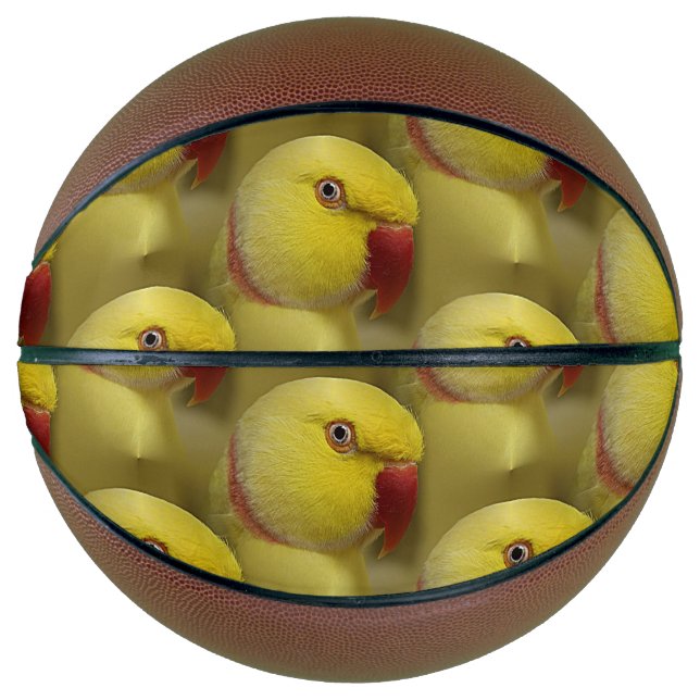 Hellgelbes Lutino Indianerringerparrot Basketball (Vorderseite)