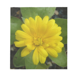 Hellgelbes Marigold Notepad Notizblock