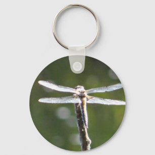 Hellgraue Libelle Schlüsselanhänger
