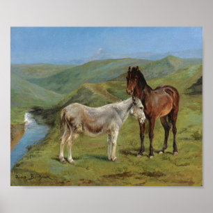 Hellgraues Pferd auf einem Feld (Pferdezucht) Poster