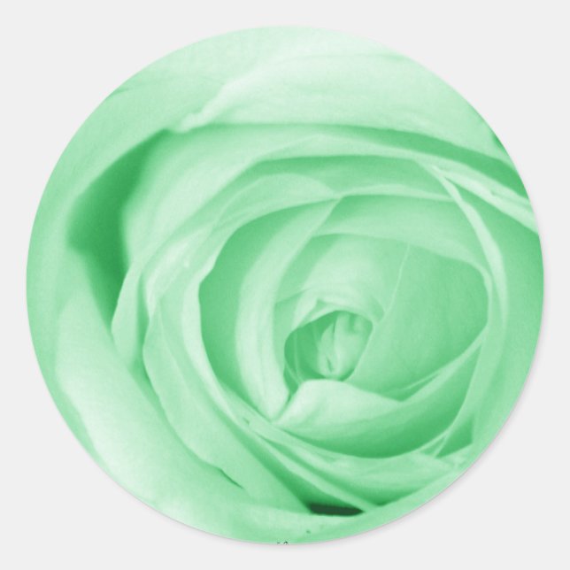 hellgrün runder aufkleber (Vorderseite)