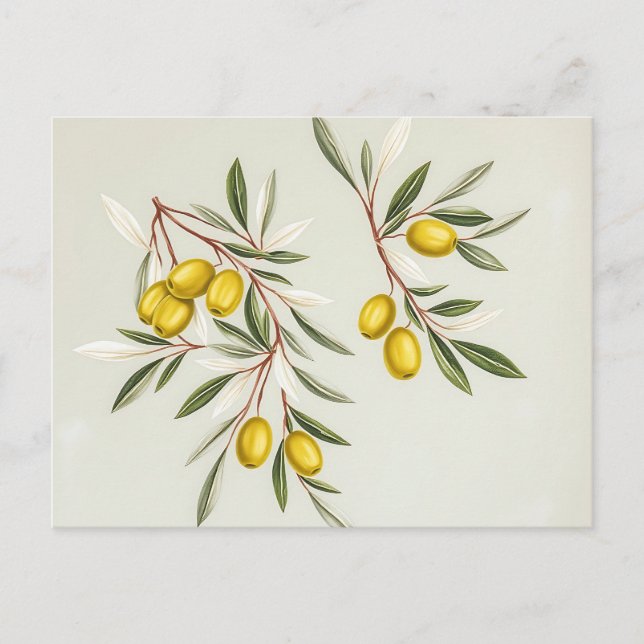 Hellgrüne Olive Branches Illustration Elegante Postkarte (Vorderseite)