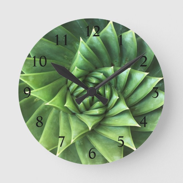 Hellgrüne Spiralaloe Polyphylla Sukkulent Runde Wanduhr (Vorderseite)