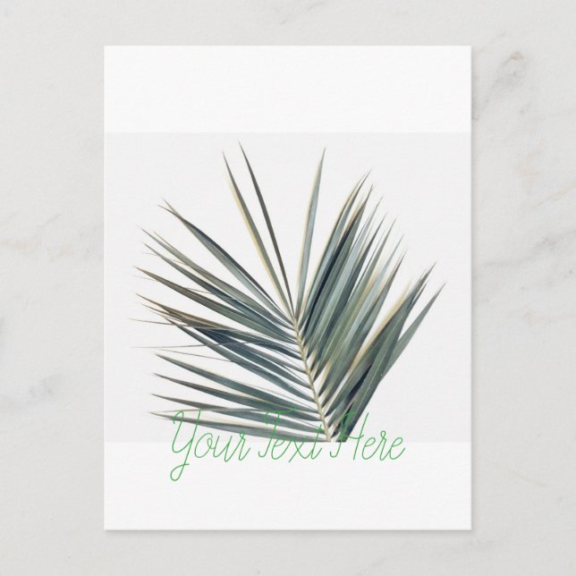 Hellgrünes Blatt Postkarte (Vorderseite)