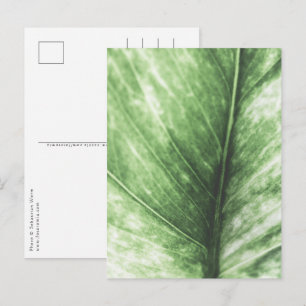 Hellgrünes Leaf-Blumendesign Postkarte
