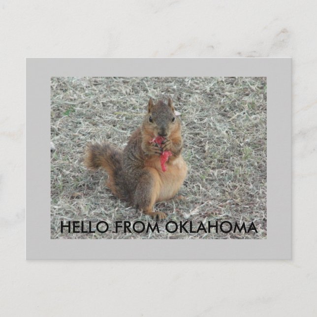 HELLO AUS OKLAHOMA POSTKARTE (Vorderseite)