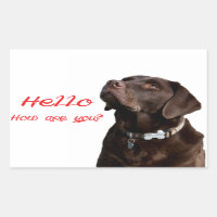 Hello Black Brown Labrador Retriever Sticker Label