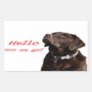 Hello Black Brown Labrador Retriever Sticker Label