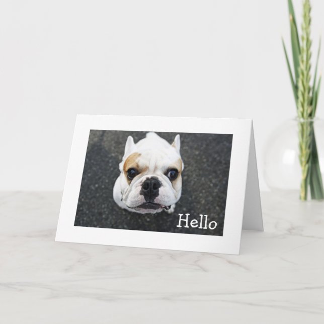 Hello Bulldog Grußkarte - Verse Karte (Vorderseite)
