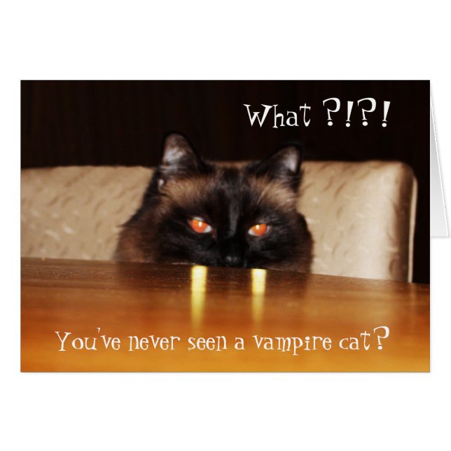 Hello Card Niedlich Funny Vampire Cat Foto (Vorderseite (Horizontal))