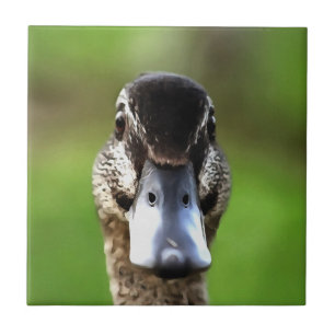 Hello Ducky Quirky Duck Portrait Fliese