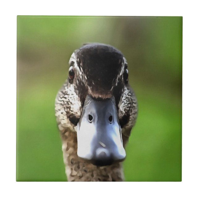 Hello Ducky Quirky Duck Portrait Fliese (Vorderseite)