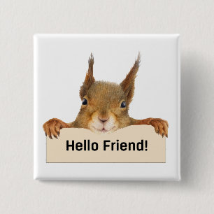 Hello Friend Funny Eichirrel Button