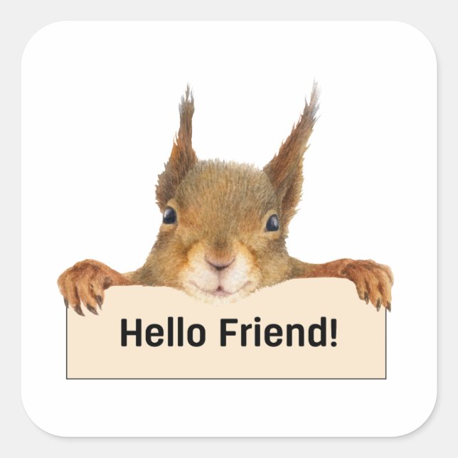 Hello Friend Funny Eichirrel Quadratischer Aufkleber (Vorderseite)