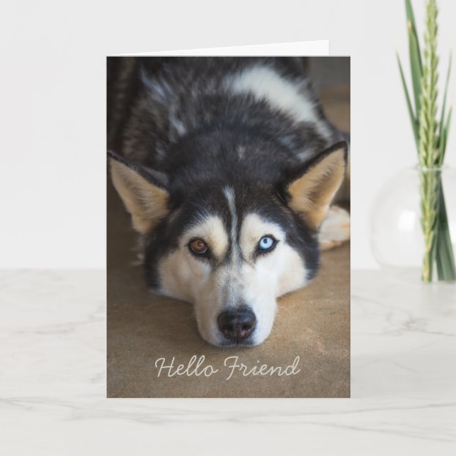 Hello Friend Husky Dog Personalisiert Gruß Karte (Vorderseite)