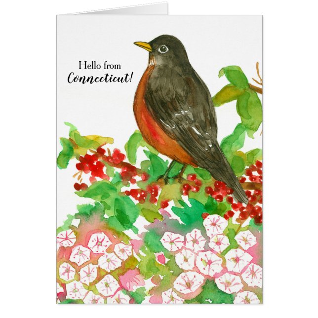Hello from Connecticut American Robin State Bird (Vorne)
