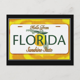 Hello From Florida Vintage Travel Postcard Postkarte