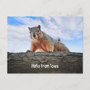 Hello From Iowa Postcard Postkarte