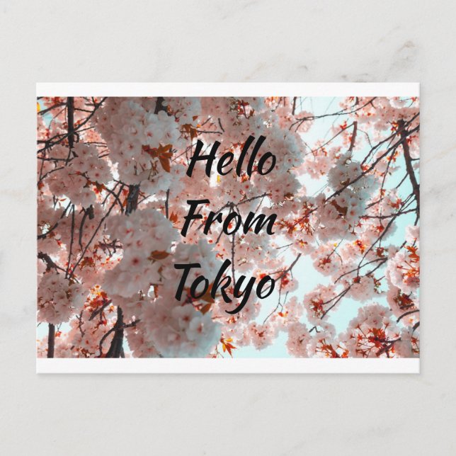Hello From Tokyo beautiful Sakura Blume Postkarte (Vorderseite)