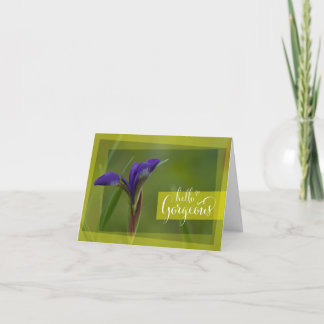 "Hello Gorgeous" Sibirische Iris Grußkarte Karte