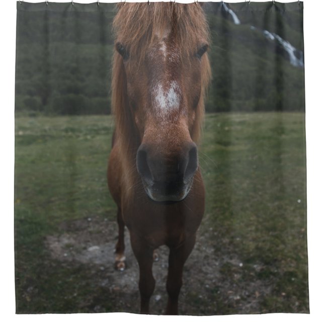 HELLO ICH BIN EIN HORSE DUSCHVORHANG (Vorderseite)