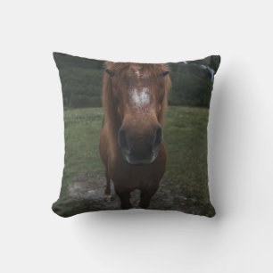 HELLO ICH BIN EIN HORSE KISSEN