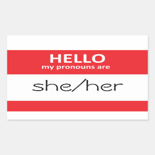 HELLO meine Pronomen sind ihr Sticker