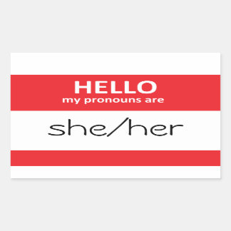 HELLO meine Pronomen sind ihr Sticker