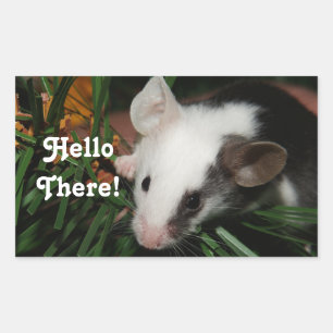 Hello Mouse Rechteckiger Aufkleber