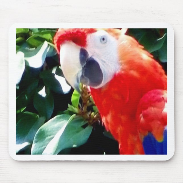 Hello_ Mousepad (Vorne)