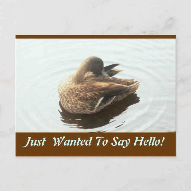 Hello Post Card Postkarte (Vorderseite)