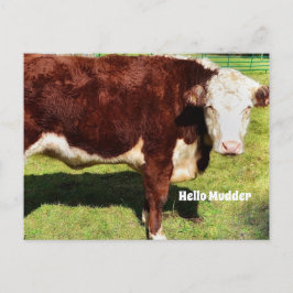 Hello PostCard Postkarte