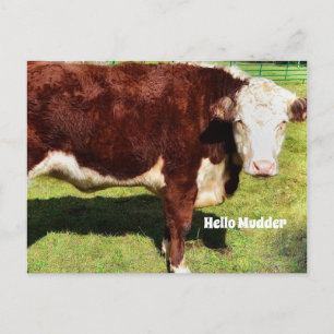 Hello PostCard Postkarte