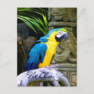 Hello_Postcard Postkarte