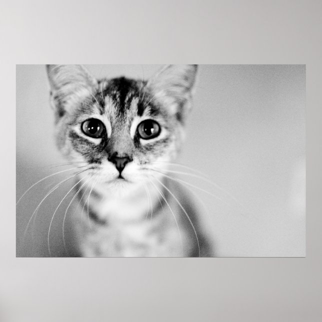 Hello Poster (Vorne)