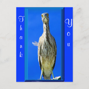 Hello_ Postkarte