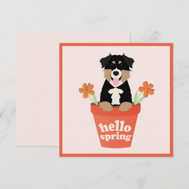 Hello Spring Australian Shepherd Dog in Blume Pot Karte (Vorne/Hinten)