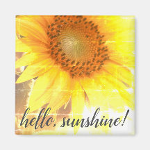 "Hello, Sunshine !" Faded Sunflower Magnet