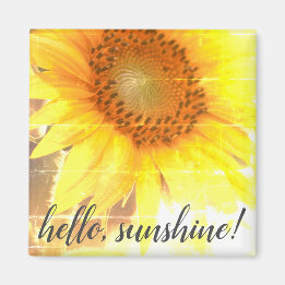 "Hello, Sunshine !" Faded Sunflower Magnet