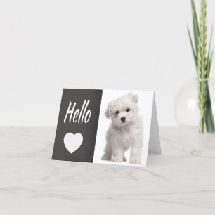 Hello White Maltese Puppy Chalkboard Note Card Karte