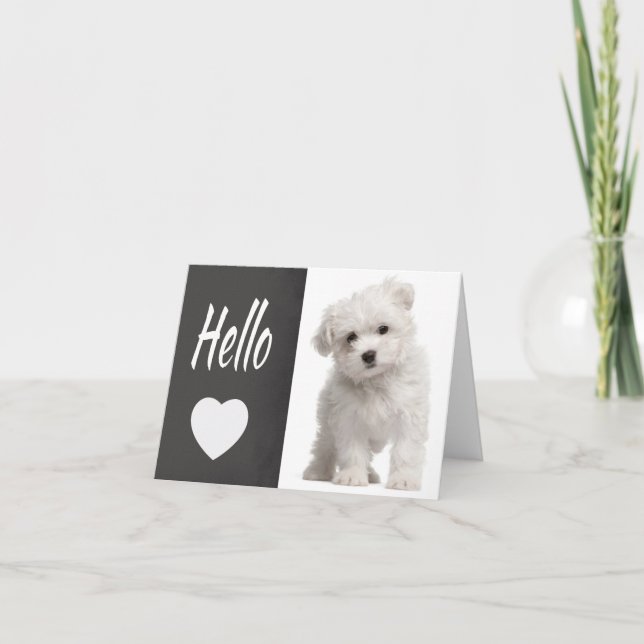 Hello White Maltese Puppy Chalkboard Note Card Karte (Vorderseite)